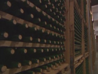 bodega (5)